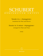 Schubert: Sonata in D 821 A minor Arpeggione