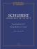 Schubert: String Quintet D 956 C major op.post.163