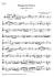 Brahms : Hungarian Dances 1&3 (arr Viola)