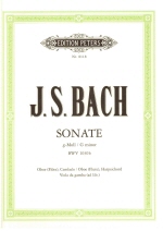 Bach : Sonata in G minor BWV 1030b