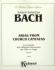 Bach : Arias from Church Cantatas Volume I (12 Sacred)